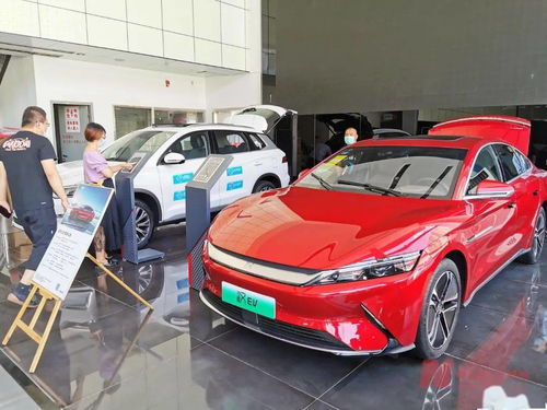 新能源車補貼退坡調查 市場終端火爆，車企策略分化，今年銷量劍指600萬輛